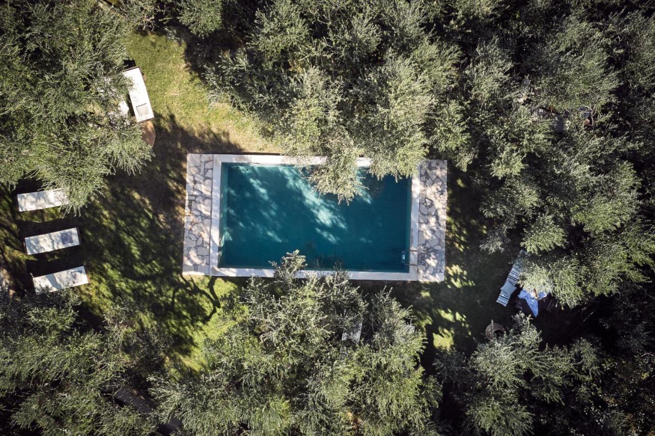 Vafias Villa - Tranquil Location, Ideal For Large Groups, By Zantewize Lithakia  Luaran gambar